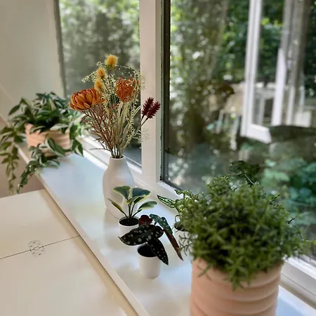 Feriehus Vakantiewoning Sunclass Ardennen Huisnummer 68 Durbuy