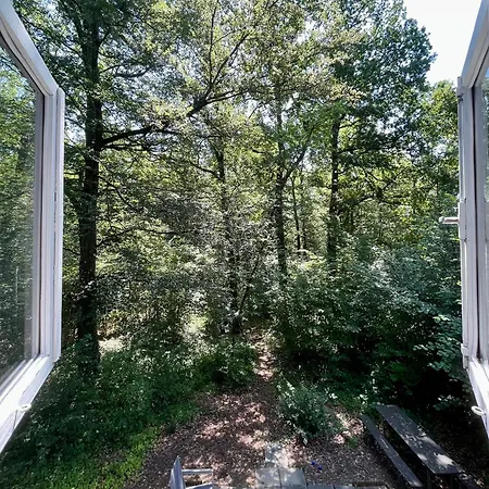 Dom wakacyjny Vakantiewoning Sunclass Ardennen Huisnummer 68 *